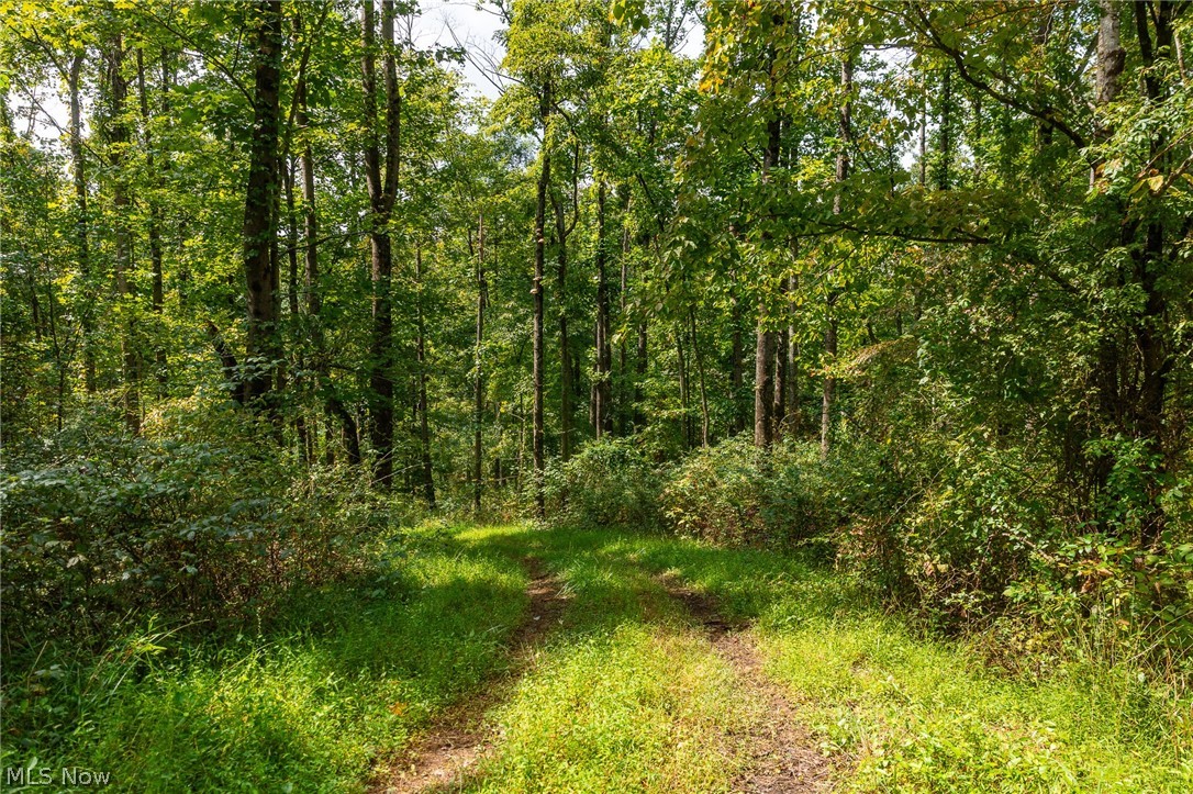 27339 Tabor Ridge Road Caldwell OH 43724