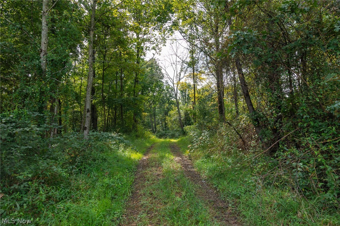 27339 Tabor Ridge Road Caldwell OH 43724