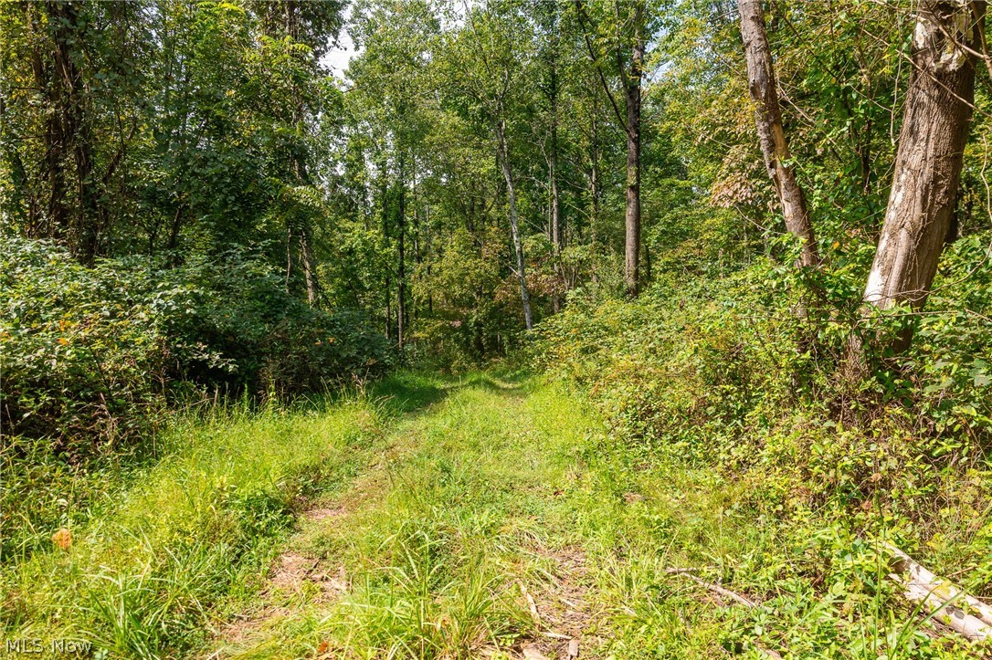 27339 Tabor Ridge Road Caldwell OH 43724