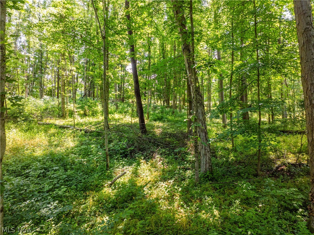 Lot 6 Township Road 51 Somerset OH 43783