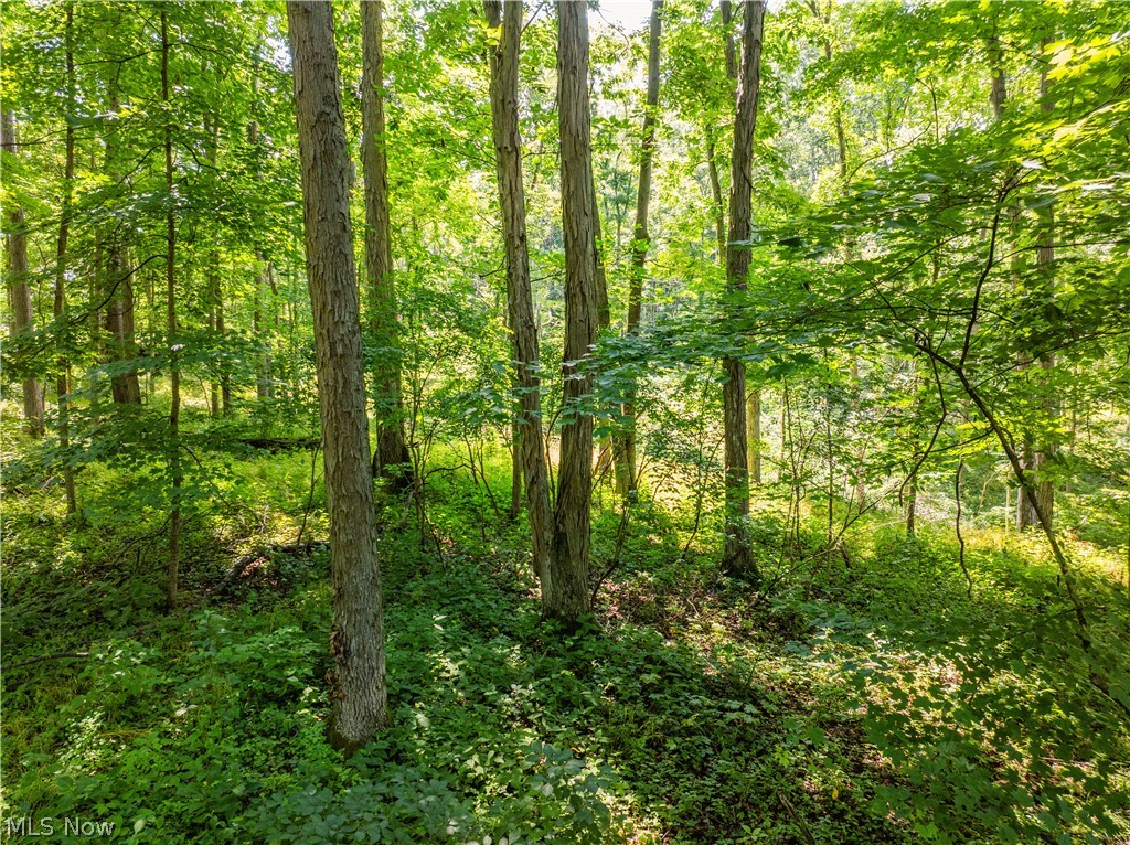 Lot 6 Township Road 51 Somerset OH 43783