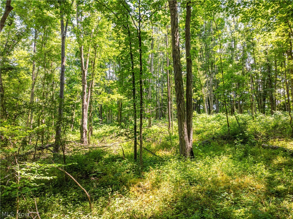 Lot 6 Township Road 51 Somerset OH 43783
