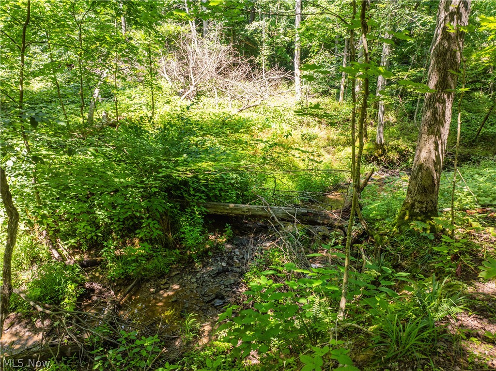 Lot 6 Township Road 51 Somerset OH 43783