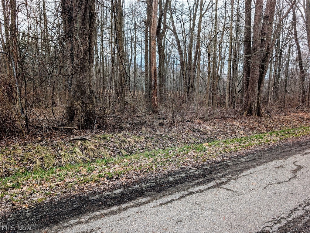Magnolia Drive Madison OH 44057