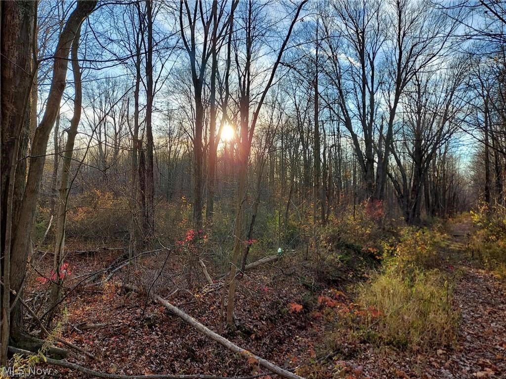 Magnolia Drive Madison OH 44057