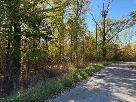Pearl Avenue Lorain OH 44055