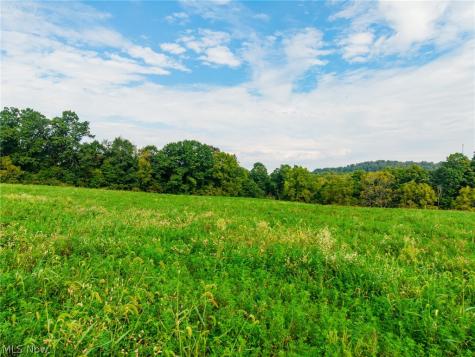 Foxfield Street SW Navarre OH 44662