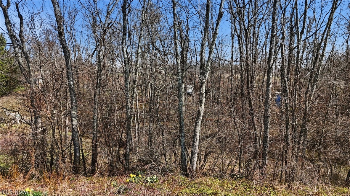 14489 Clay Pike Senecaville OH 43780