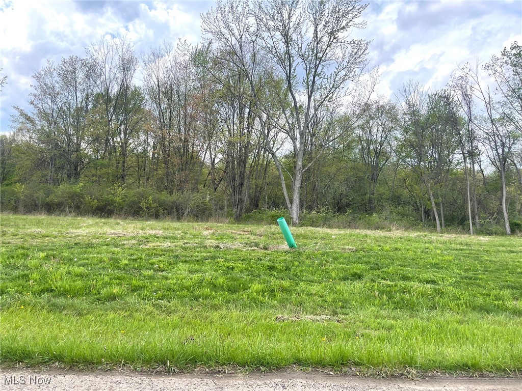 Lot# 12 Candell Street SE Massillon OH 44646