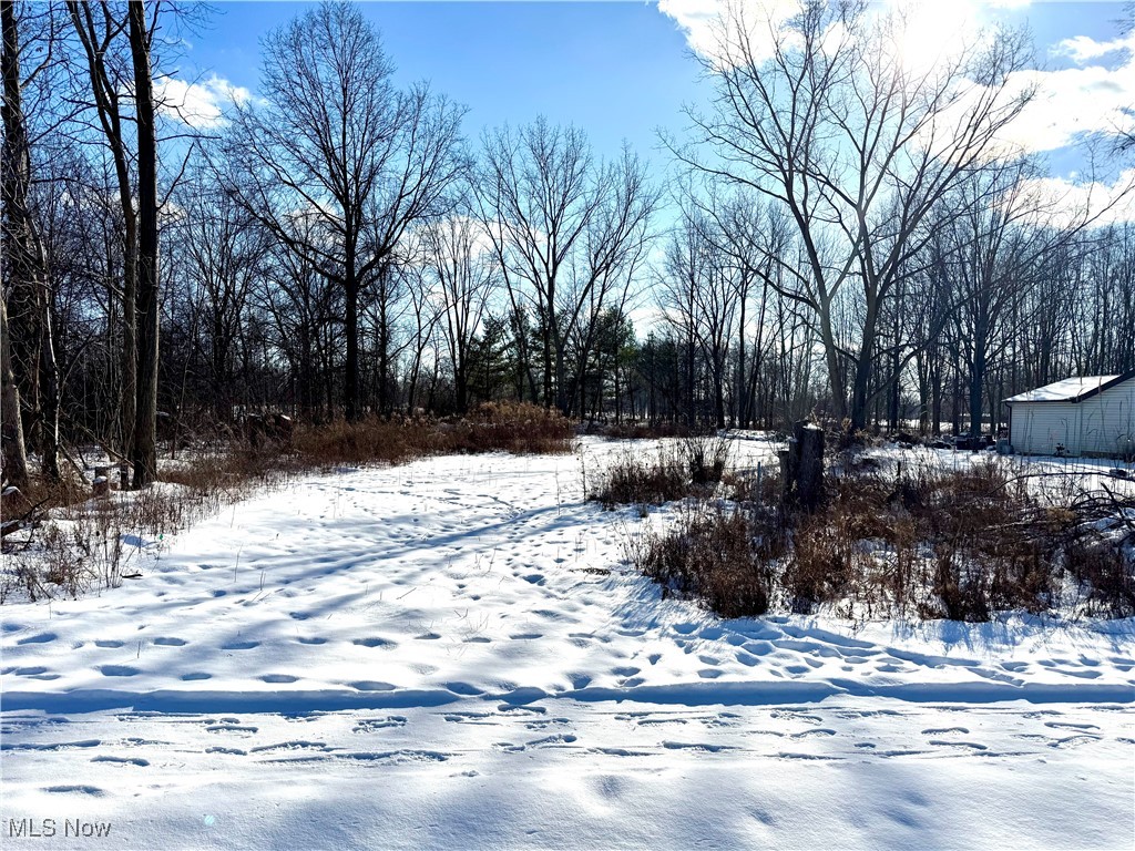 31857 Avon Road Avon OH 44011