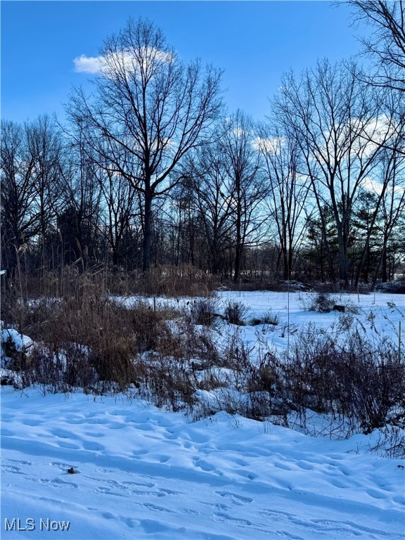 31857 Avon Road Avon OH 44011