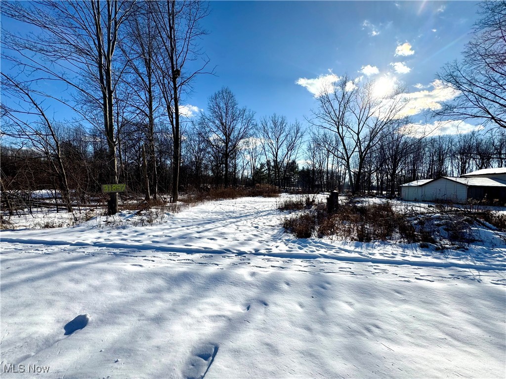 31857 Avon Road Avon OH 44011