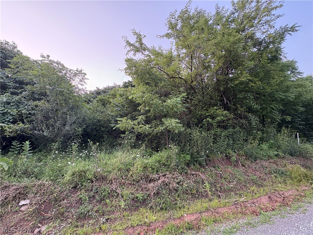 Britton Road Senecaville OH 43780