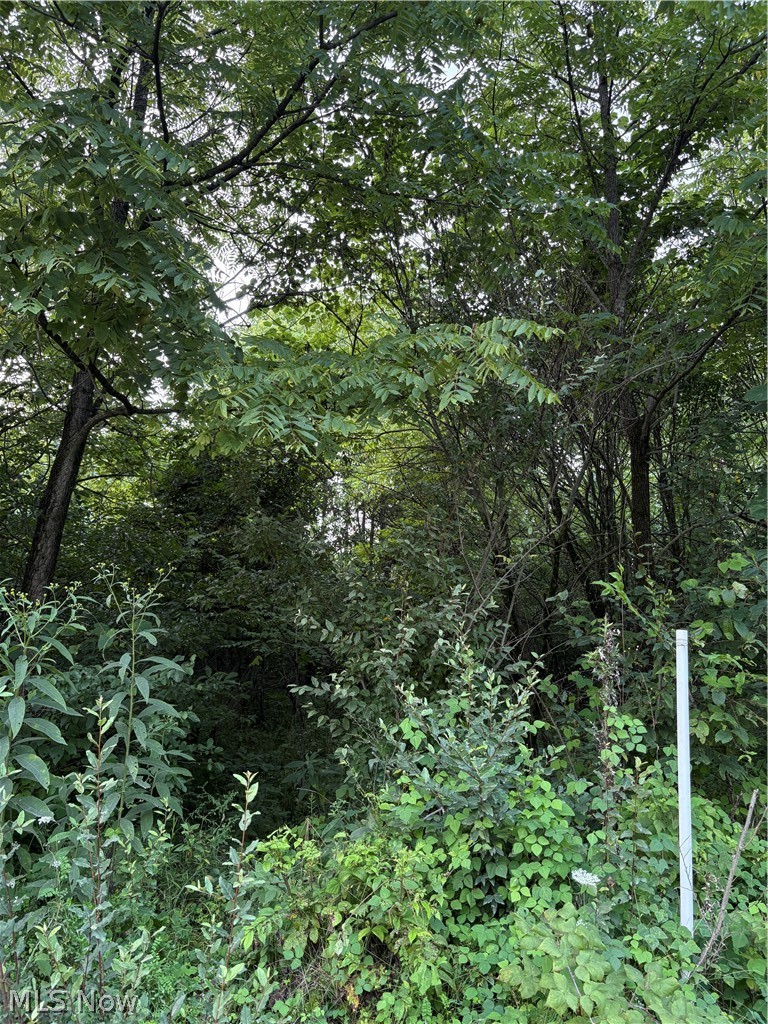 Britton Road Senecaville OH 43780