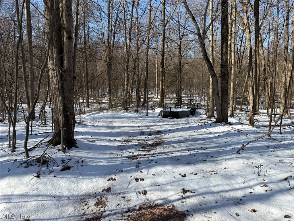 3117 Sweet Road Conneaut OH 44030