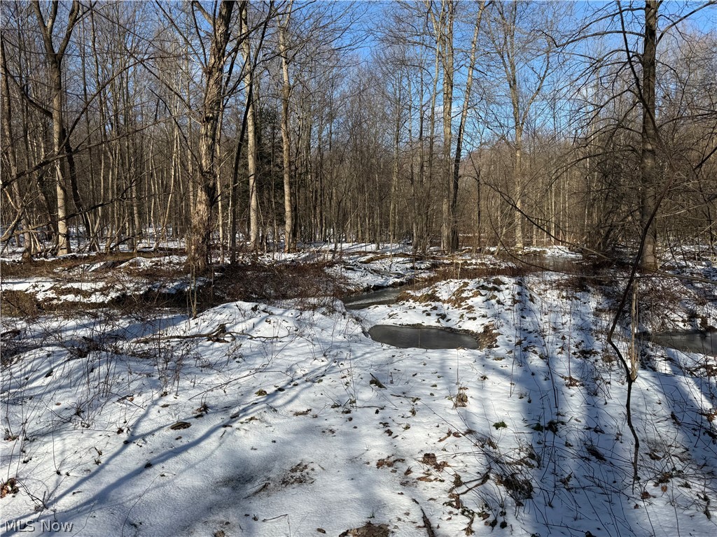 3117 Sweet Road Conneaut OH 44030
