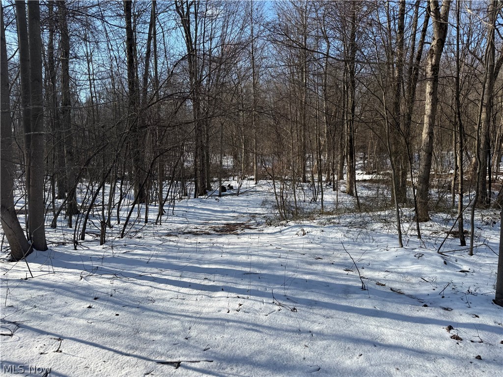 3117 Sweet Road Conneaut OH 44030