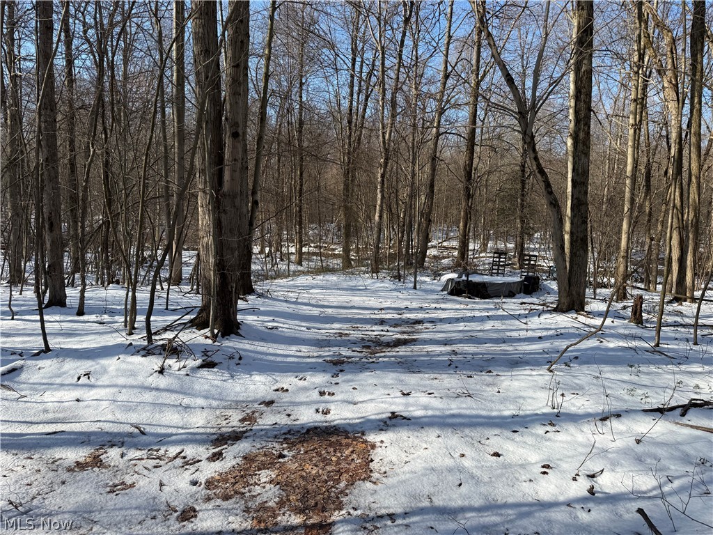 3117 Sweet Road Conneaut OH 44030