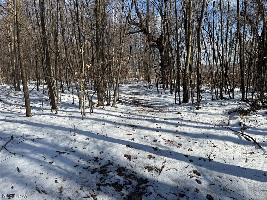 3117 Sweet Road Conneaut OH 44030