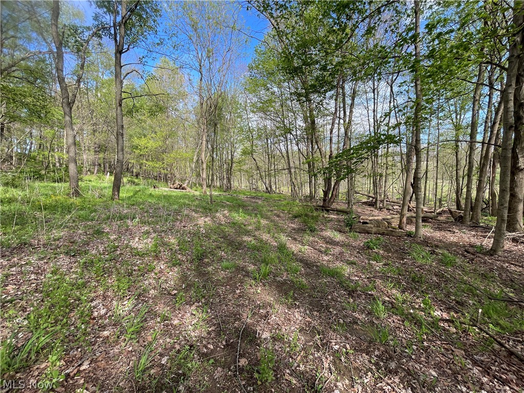 0 Monroe Mills Road Mount Vernon OH 43050