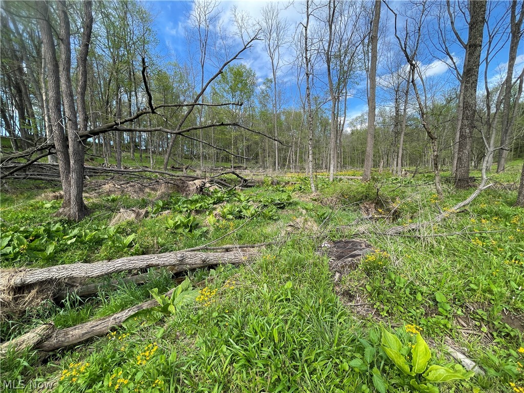 0 Monroe Mills Road Mount Vernon OH 43050