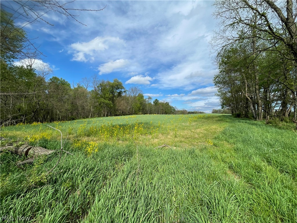 0 Monroe Mills Road Mount Vernon OH 43050