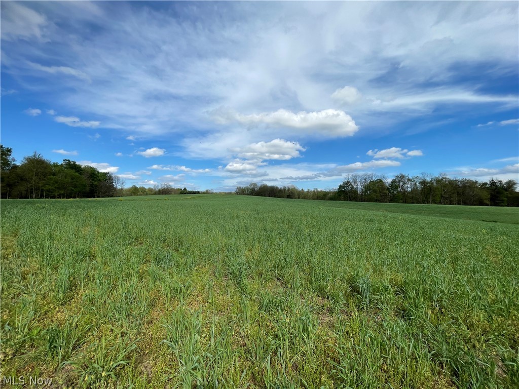 0 Monroe Mills Road Mount Vernon OH 43050