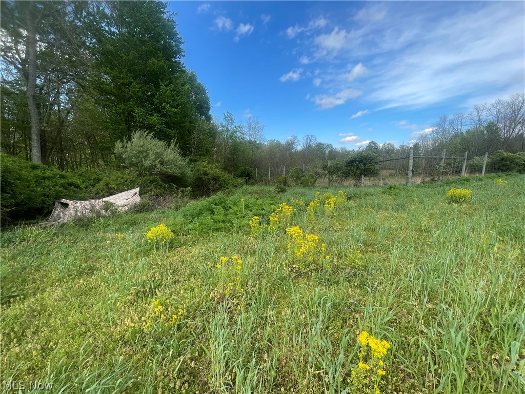 0 Monroe Mills Road Mount Vernon OH 43050