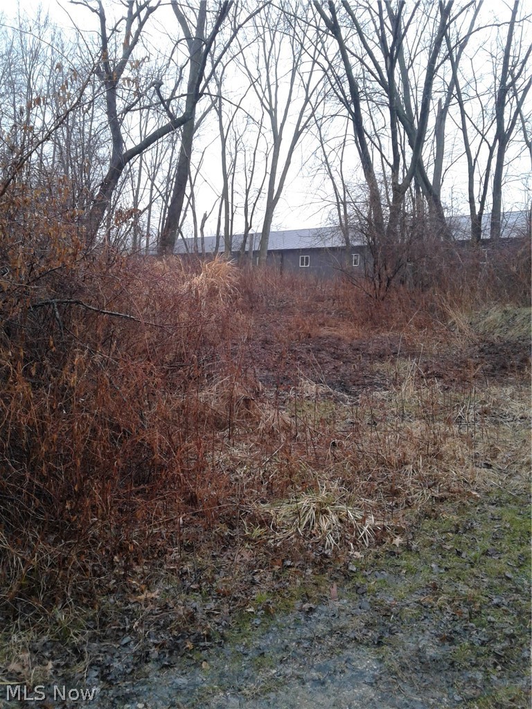 Lakeview Avenue Sheffield Lake OH 44054
