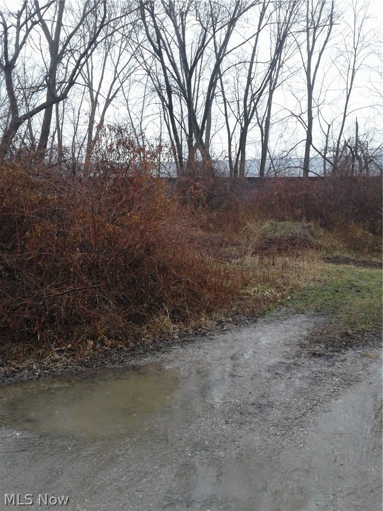 Lakeview Avenue Sheffield Lake OH 44054
