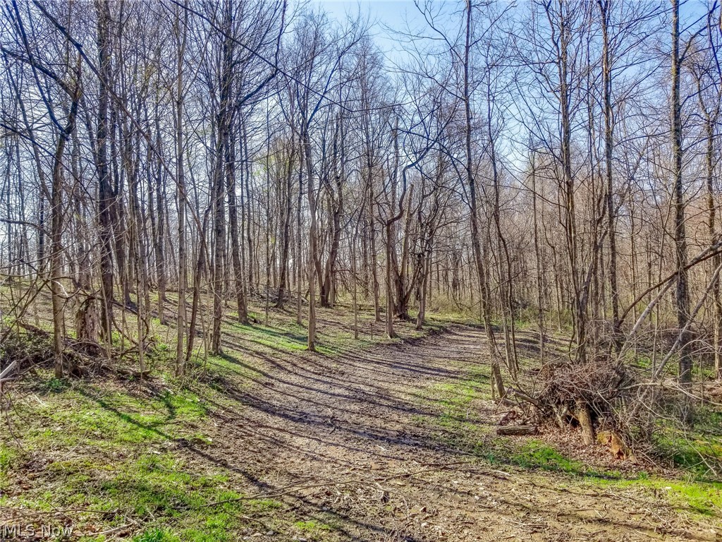 Zep Road Summerfield OH 43788