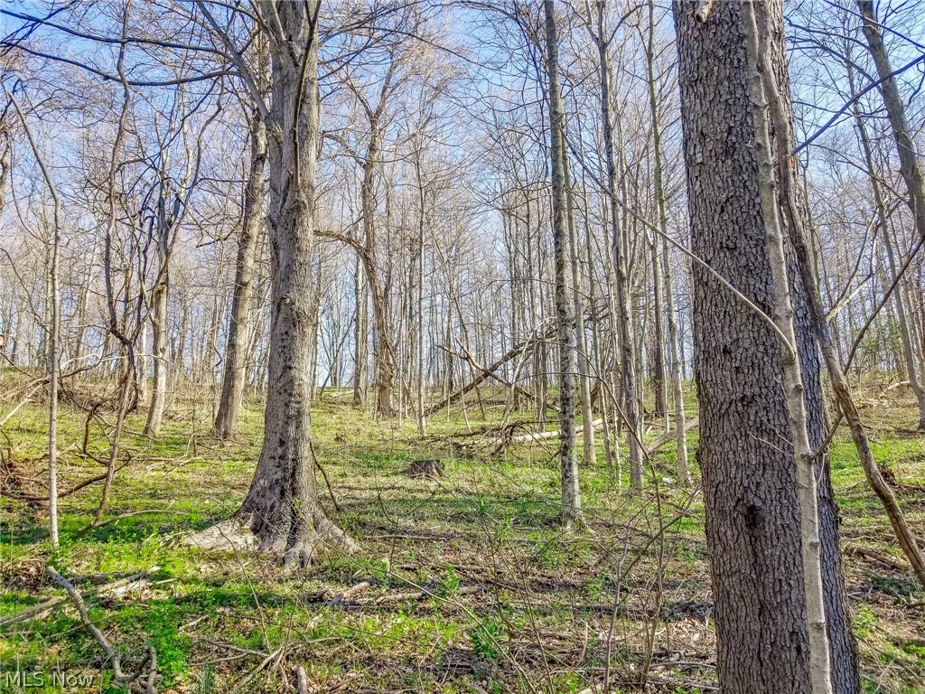 Zep Road Summerfield OH 43788