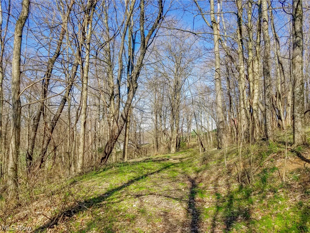 Zep Road Summerfield OH 43788