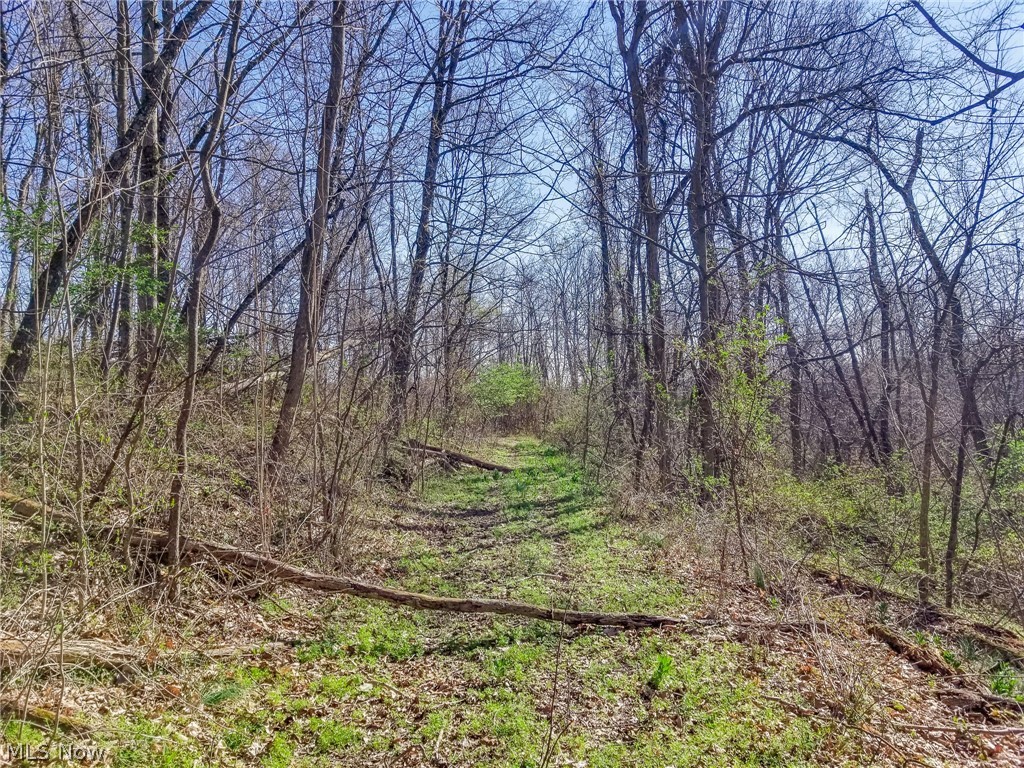 Zep Road Summerfield OH 43788