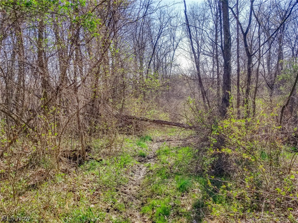 Zep Road Summerfield OH 43788