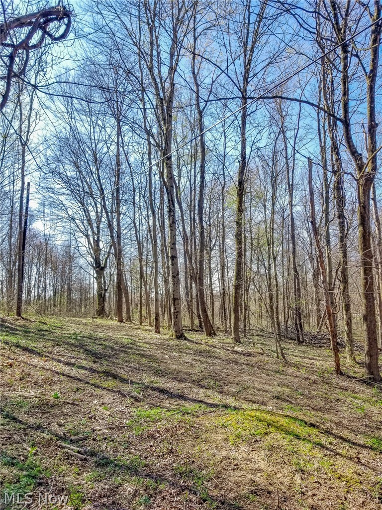 Zep Road Summerfield OH 43788