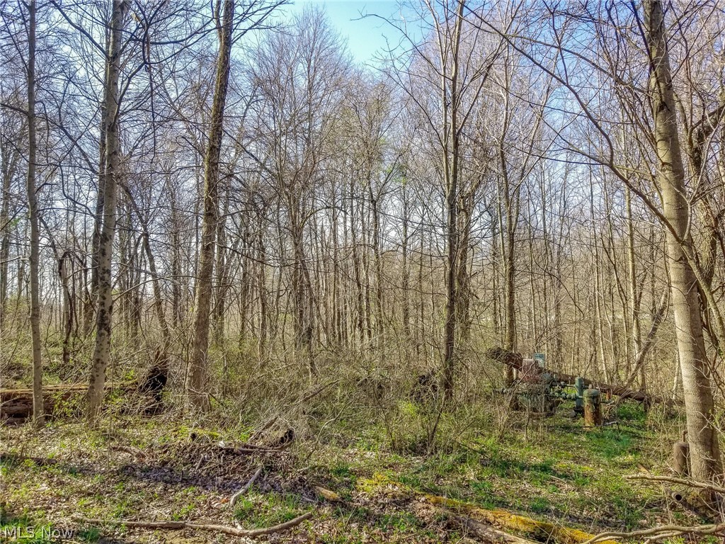 Zep Road Summerfield OH 43788