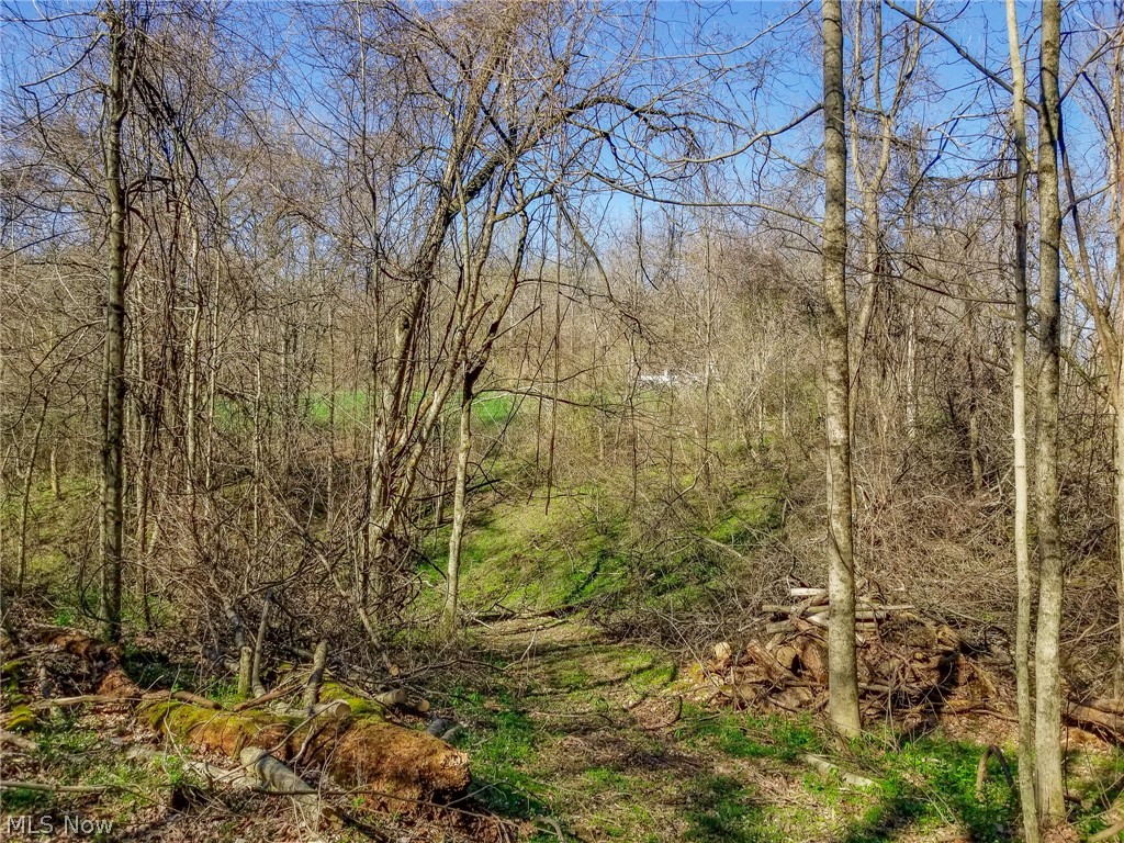 Zep Road Summerfield OH 43788