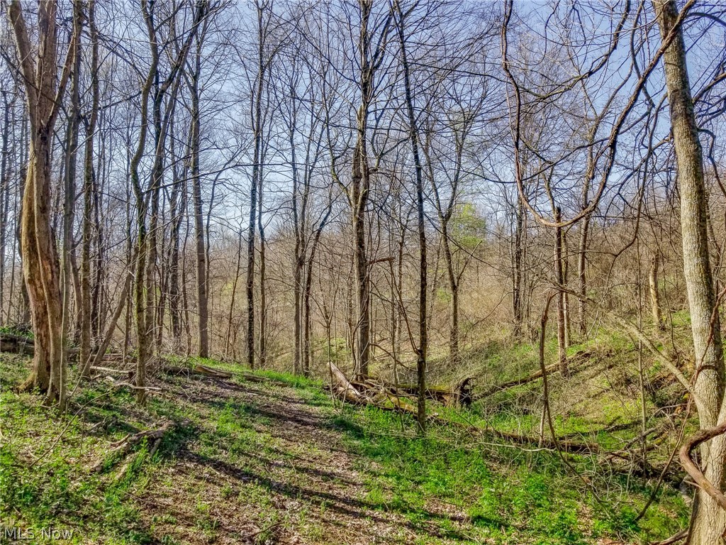 Zep Road Summerfield OH 43788