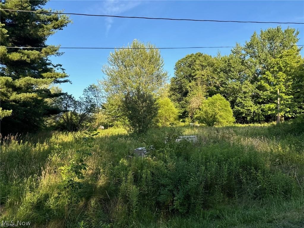 7425 Lisa Lane Lisbon OH 44432