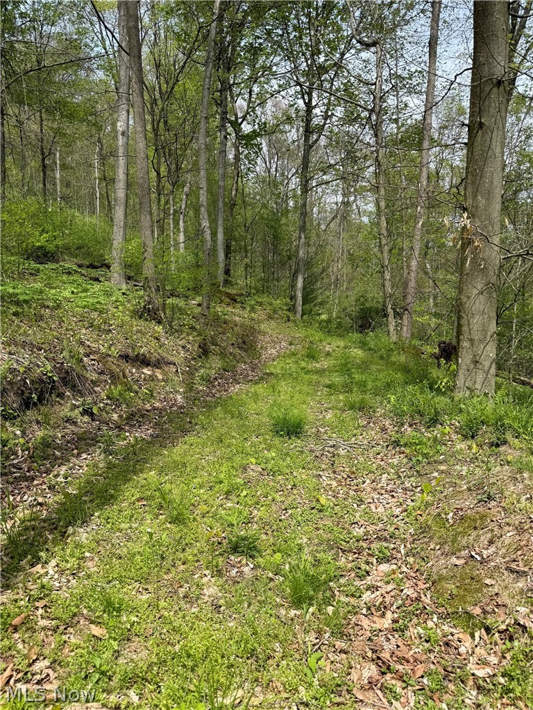 Township Road 423 Walhonding OH 43843