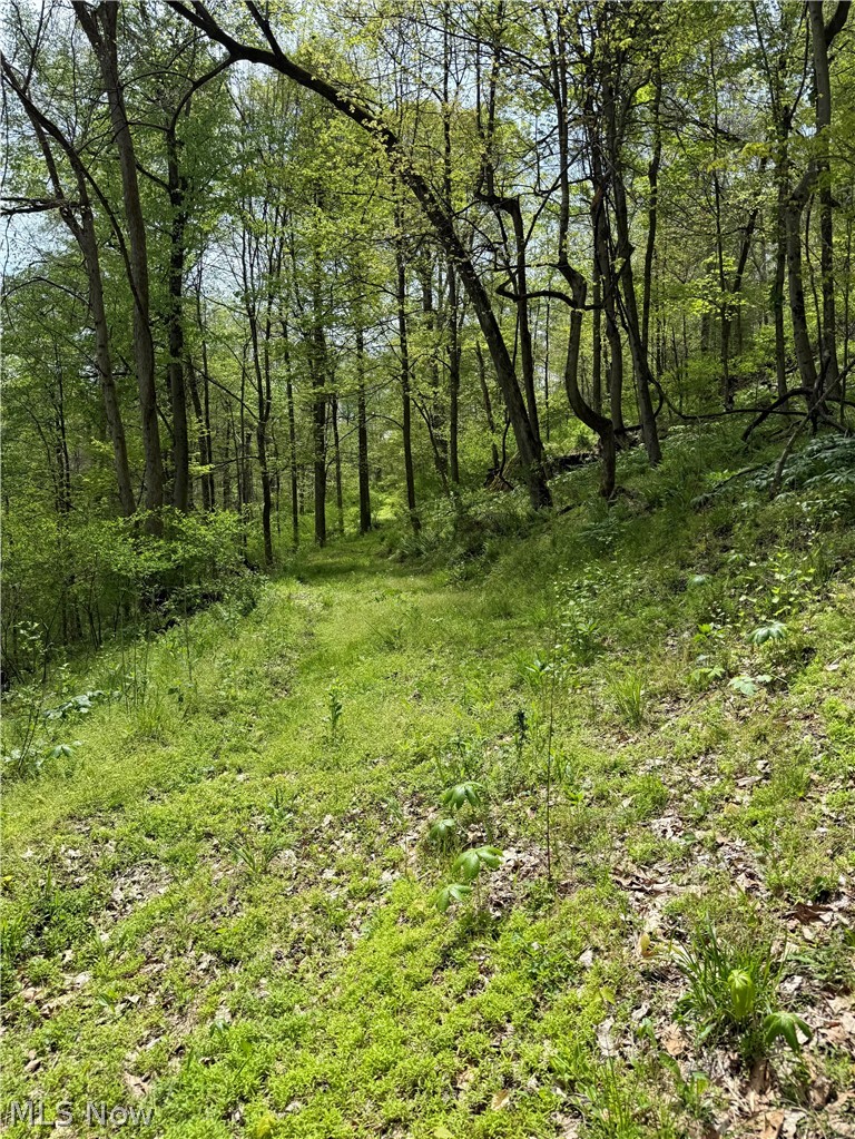 Township Road 423 Walhonding OH 43843