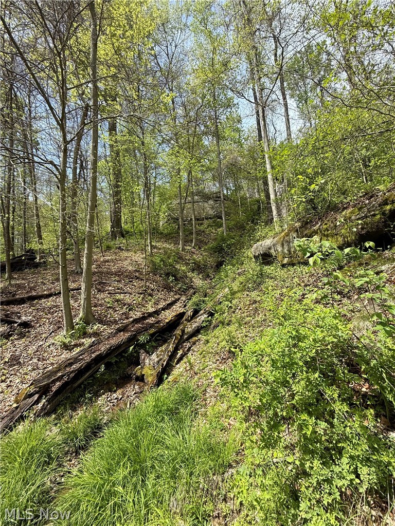 Township Road 423 Walhonding OH 43843