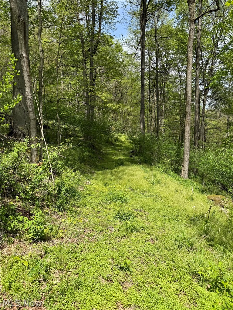 Township Road 423 Walhonding OH 43843