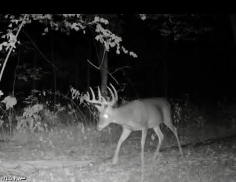 Township Road 423 Walhonding OH 43843