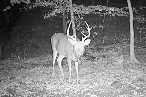 Township Road 423 Walhonding OH 43843