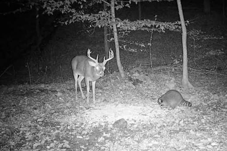 Township Road 423 Walhonding OH 43843