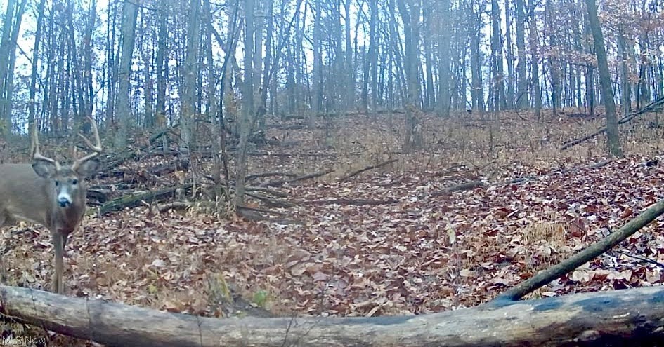 Township Road 423 Walhonding OH 43843