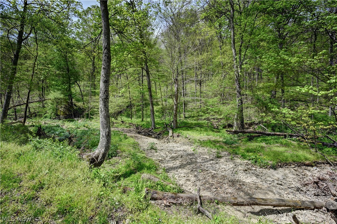 Township Road 423 Walhonding OH 43843