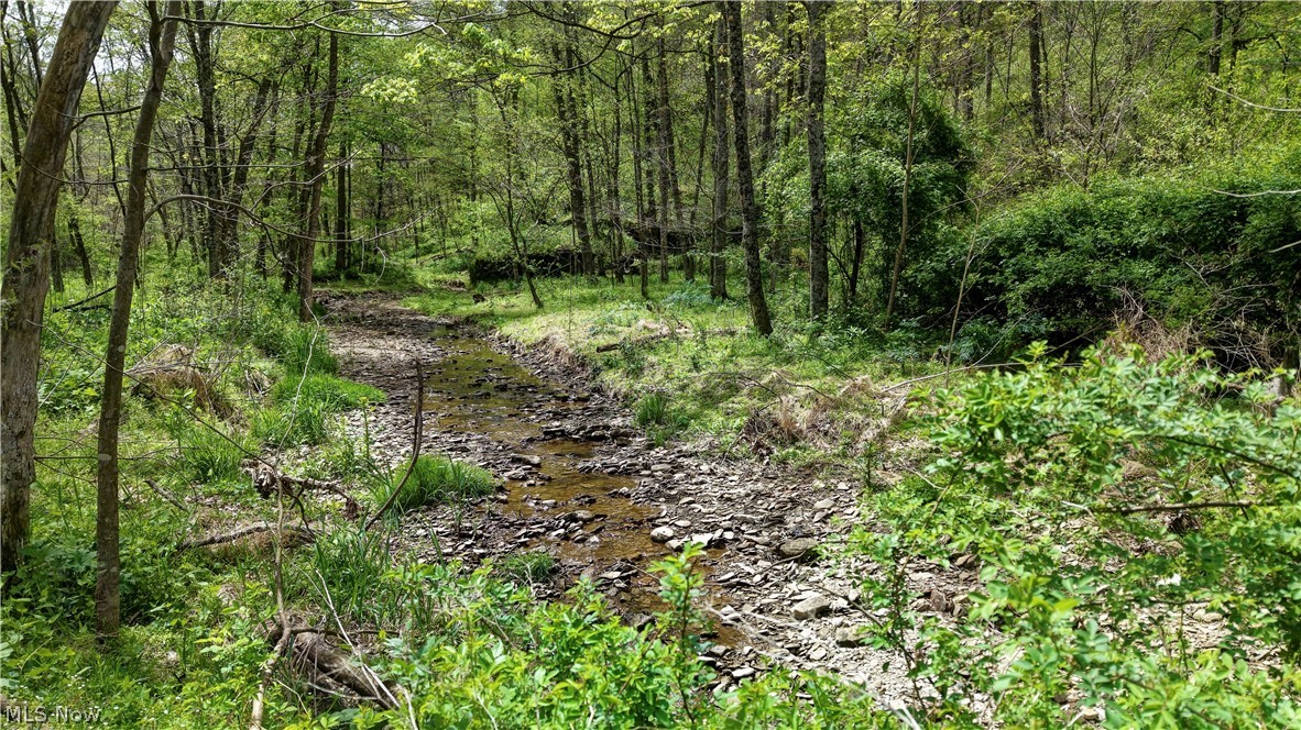 Township Road 423 Walhonding OH 43843